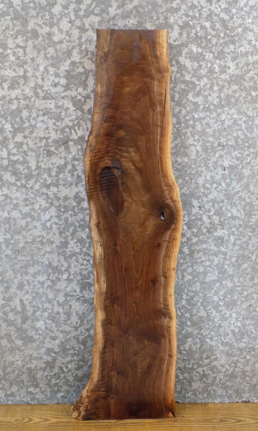 Salvaged Live Edge Black Walnut Entry/Side Table Top Slab 1713